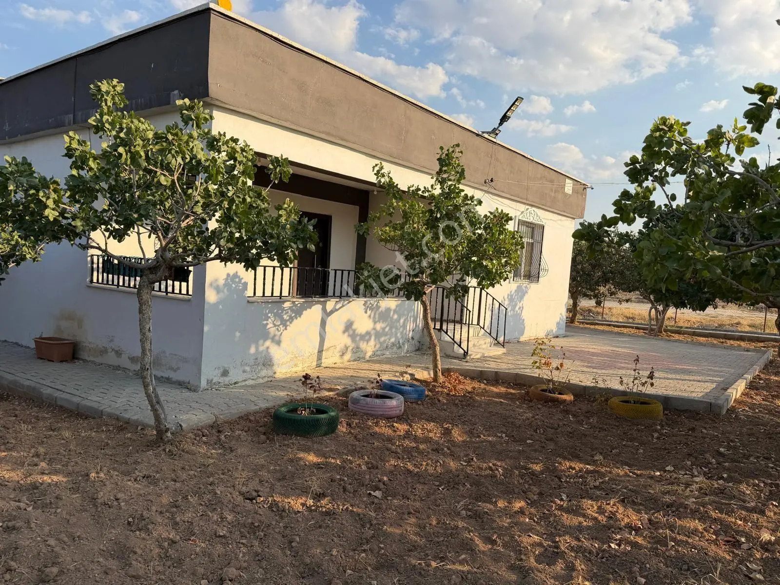 Karaköprüye 8. Km Uzaklıkta 2.246 M² Bağımsız Tek Tapulu Yatırımlık Fıstıklık — fotoğraf 11