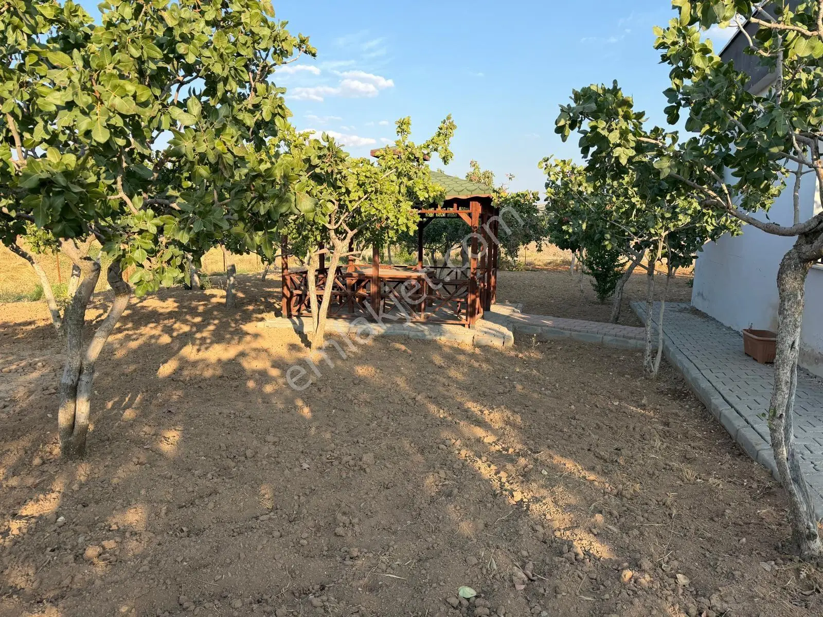 Karaköprüye 8. Km Uzaklıkta 2.246 M² Bağımsız Tek Tapulu Yatırımlık Fıstıklık — fotoğraf 12