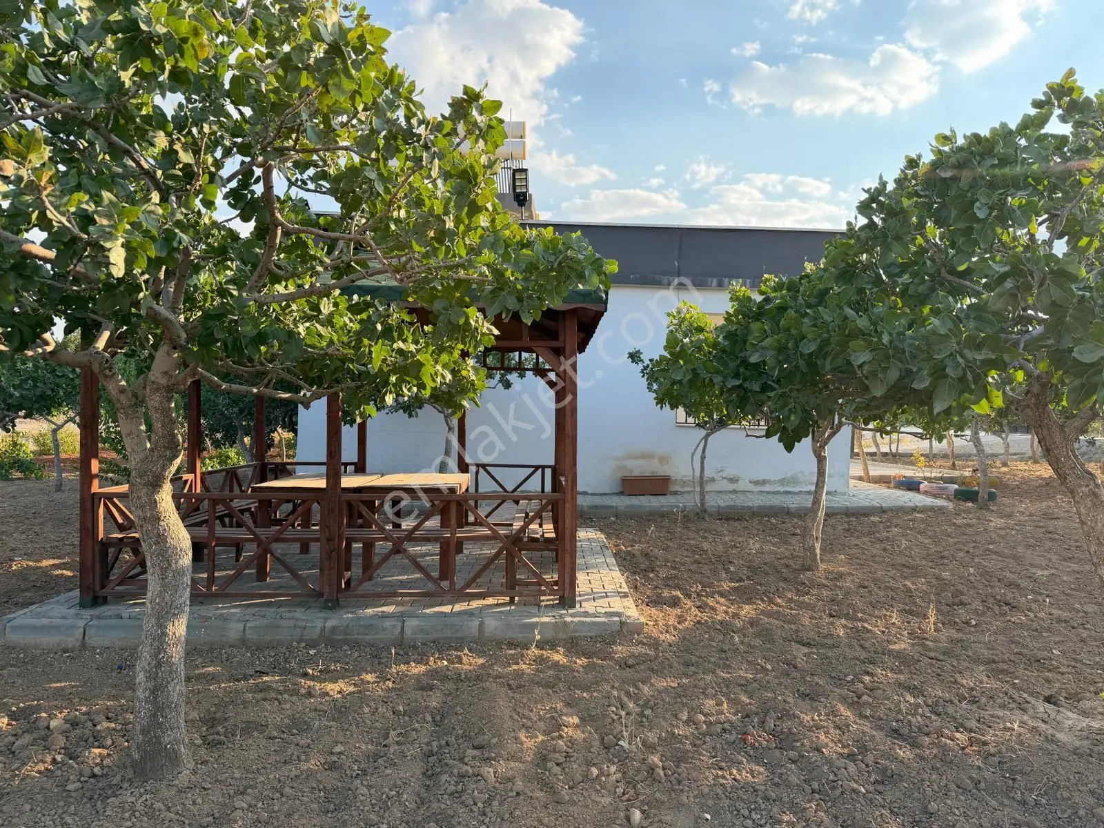 Karaköprüye 8. Km Uzaklıkta 2.246 M² Bağımsız Tek Tapulu Yatırımlık Fıstıklık — fotoğraf 13