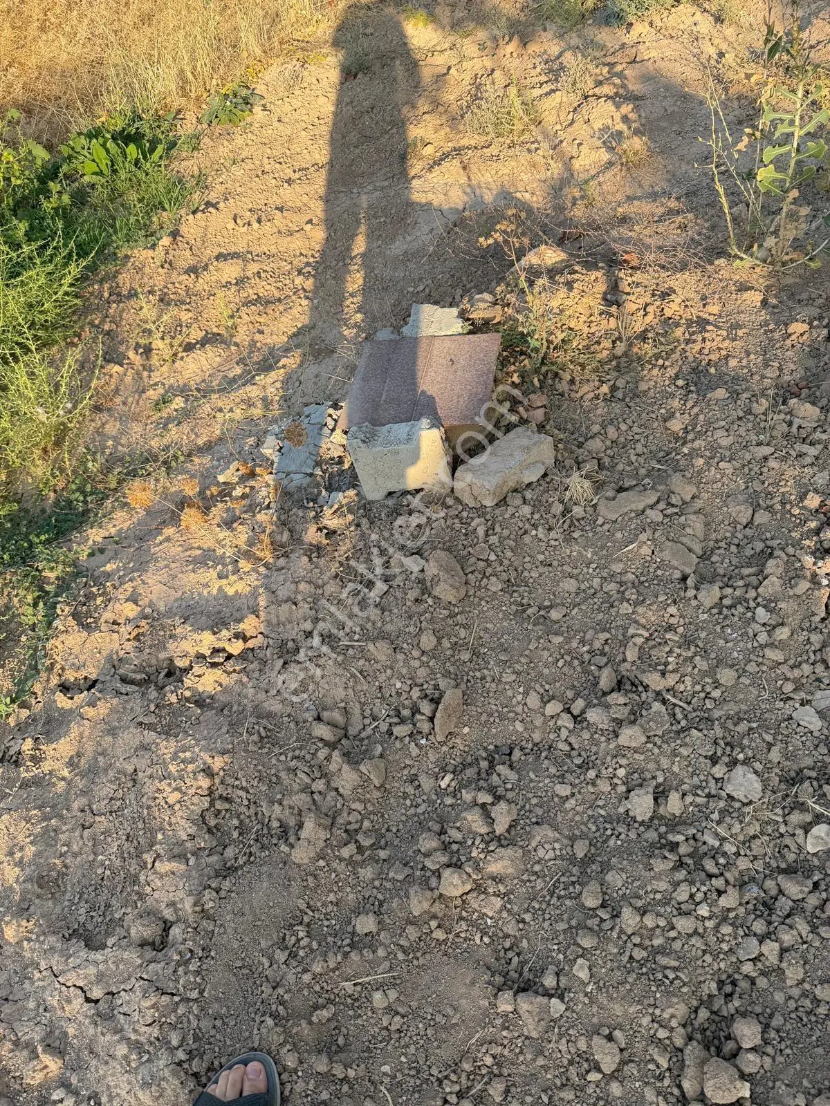 Karaköprüye 8. Km Uzaklıkta 2.246 M² Bağımsız Tek Tapulu Yatırımlık Fıstıklık — fotoğraf 17