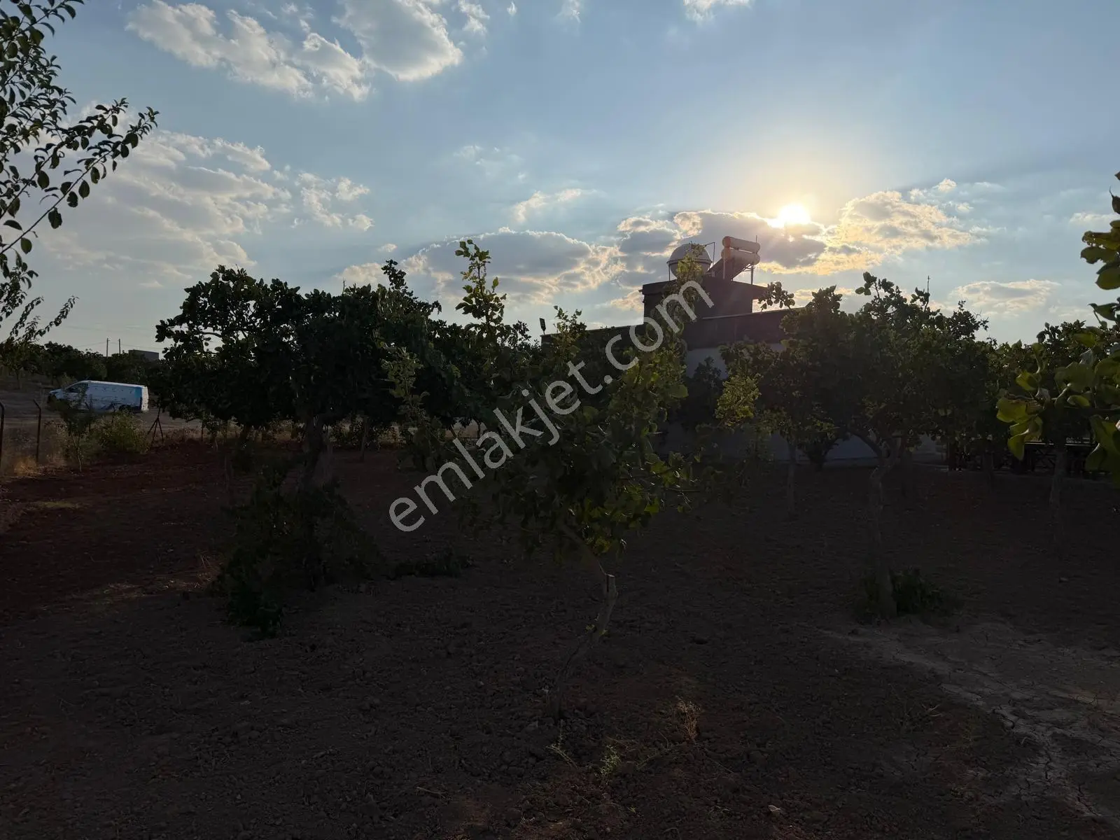 Karaköprüye 8. Km Uzaklıkta 2.246 M² Bağımsız Tek Tapulu Yatırımlık Fıstıklık — fotoğraf 18