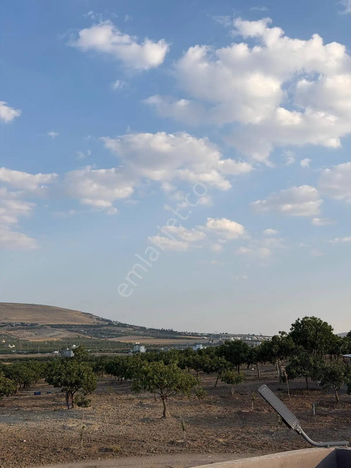 Karaköprüye 8. Km Uzaklıkta 2.246 M² Bağımsız Tek Tapulu Yatırımlık Fıstıklık — fotoğraf 32