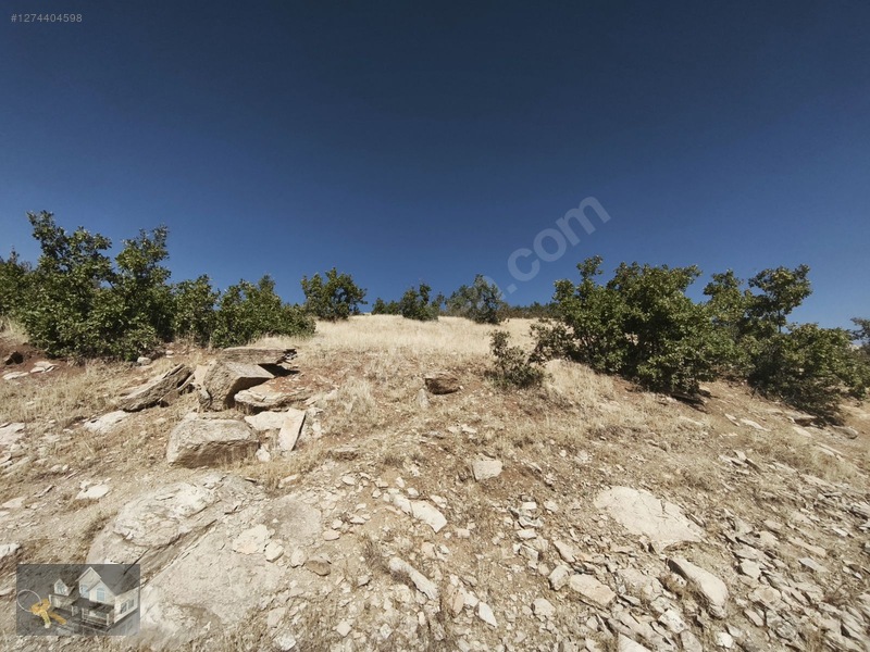 Tunceli Merkez Esentepe Satılık 500 M2 Arsa — fotoğraf 10