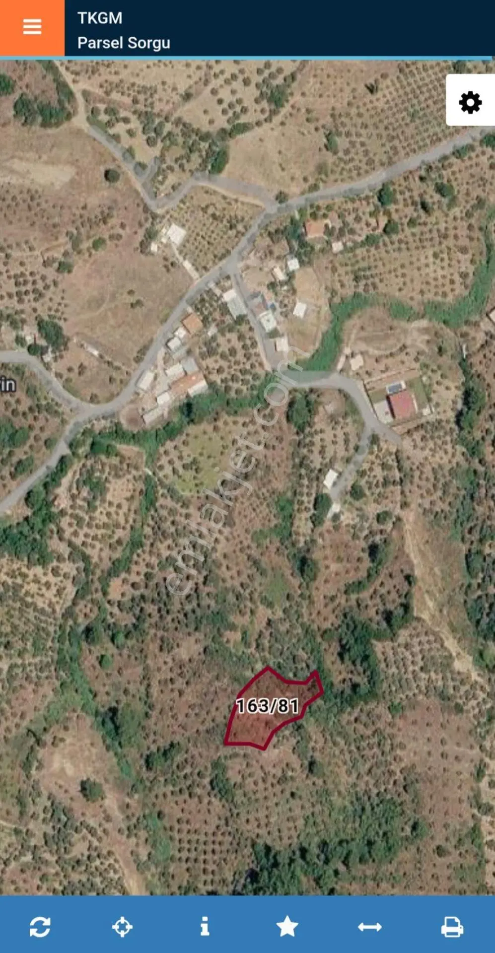 Kemalpaşa, Yukarıkızılca – Satılık Zeytinlik