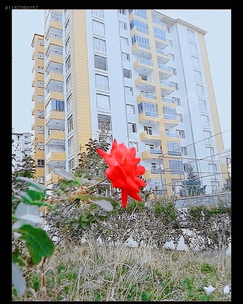 !!!full Yapılı 3+1 Krediye Uygun Satılık Daire — fotoğraf 16
