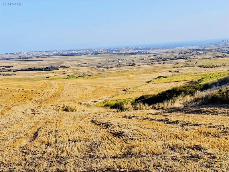 Silivri Fenerde 690m2 Parsel 750 Peşin Kalan Takist İmkanı — fotoğraf 8