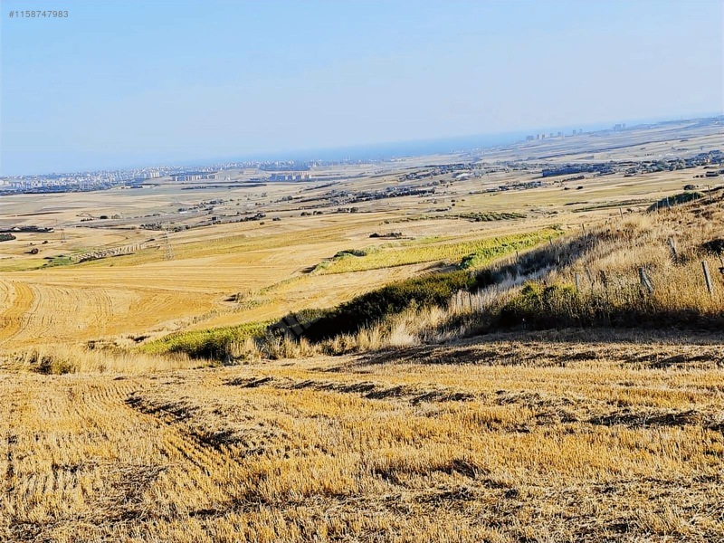 Silivri Fenerde 690m2 Parsel 750 Peşin Kalan Takist İmkanı — fotoğraf 9