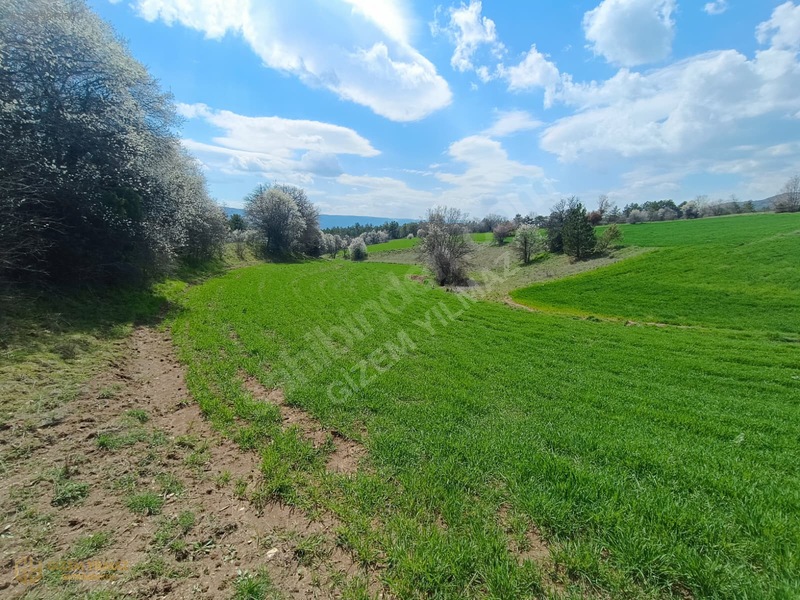 9629 M2 İki Ayrı Tapu Tek Fiyat! — fotoğraf 2