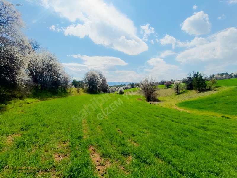 9629 M2 İki Ayrı Tapu Tek Fiyat! — fotoğraf 3