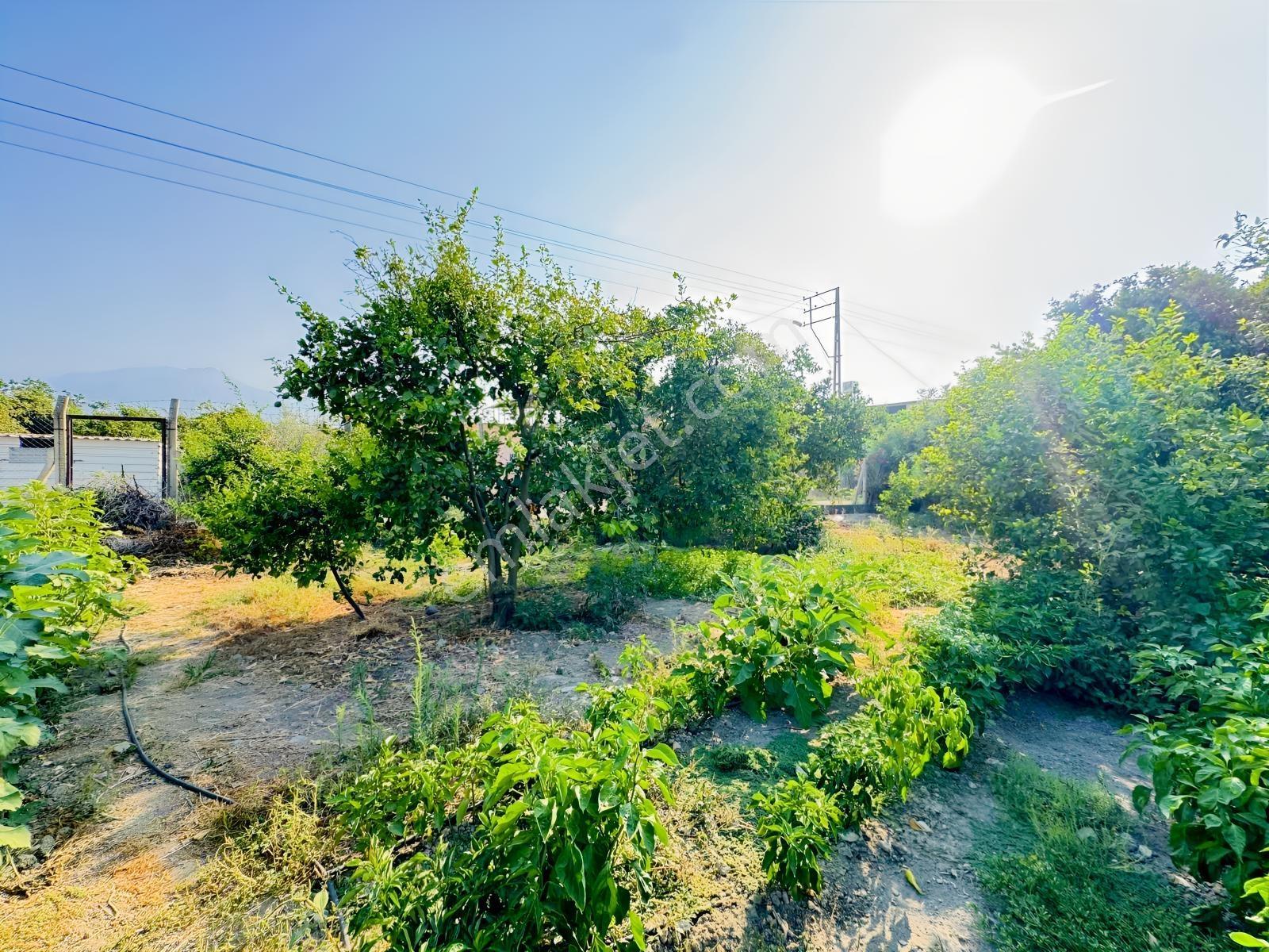 Arsuz Gözcüler'de Satılık İmarlı Arsa — fotoğraf 22