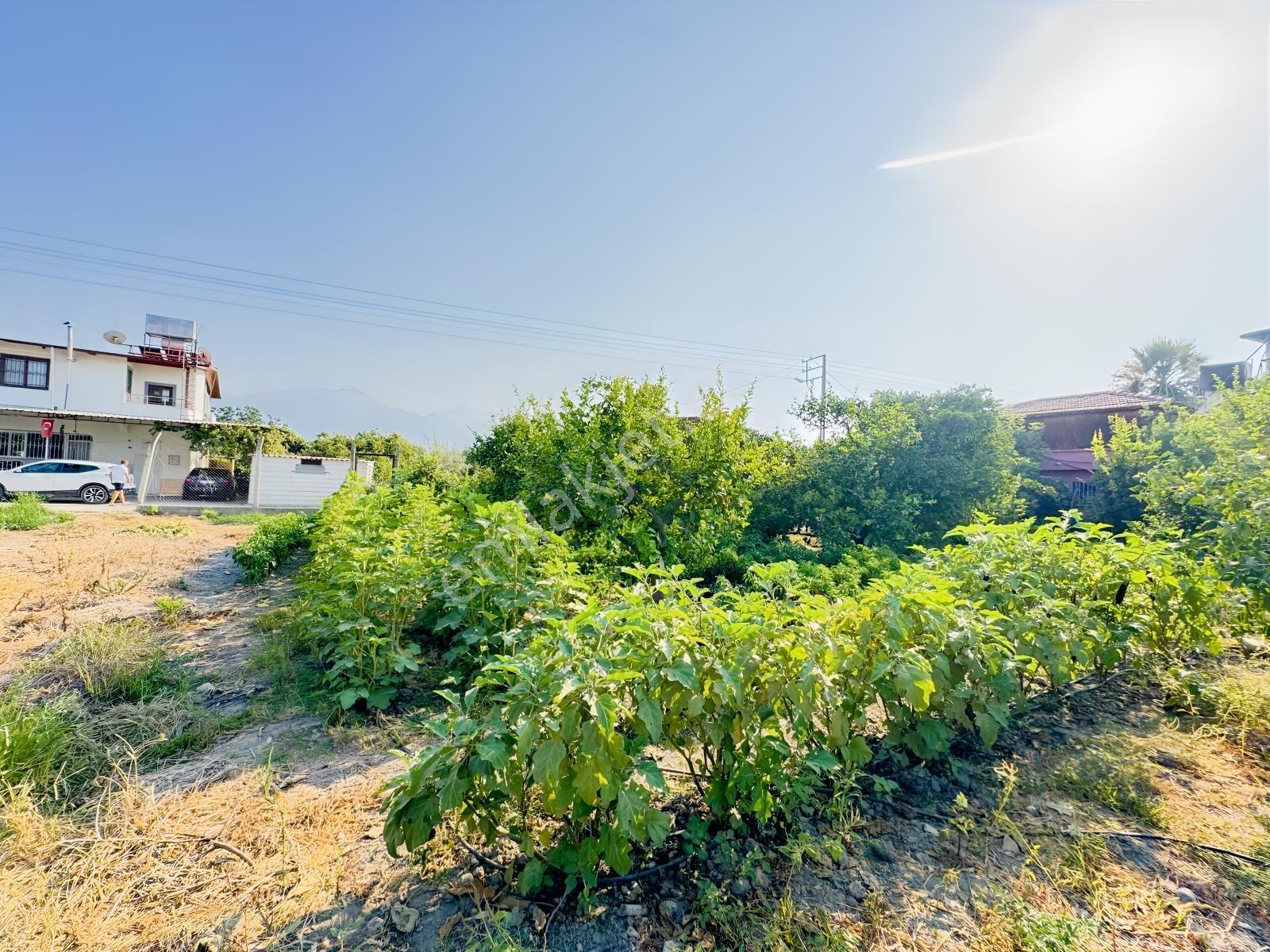 Arsuz Gözcüler'de Satılık İmarlı Arsa — fotoğraf 26