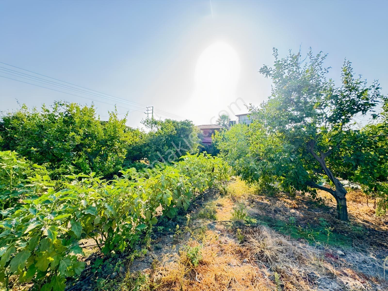 Arsuz Gözcüler'de Satılık İmarlı Arsa — fotoğraf 27