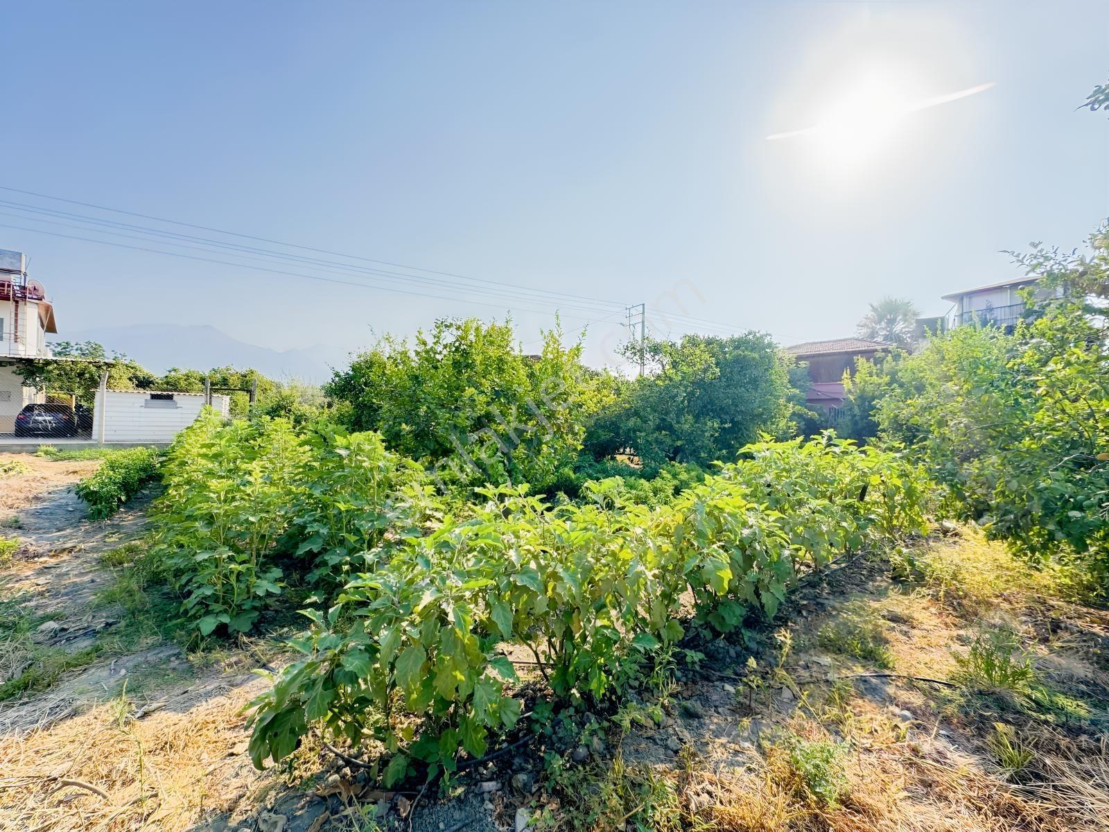 Arsuz Gözcüler'de Satılık İmarlı Arsa — fotoğraf 28