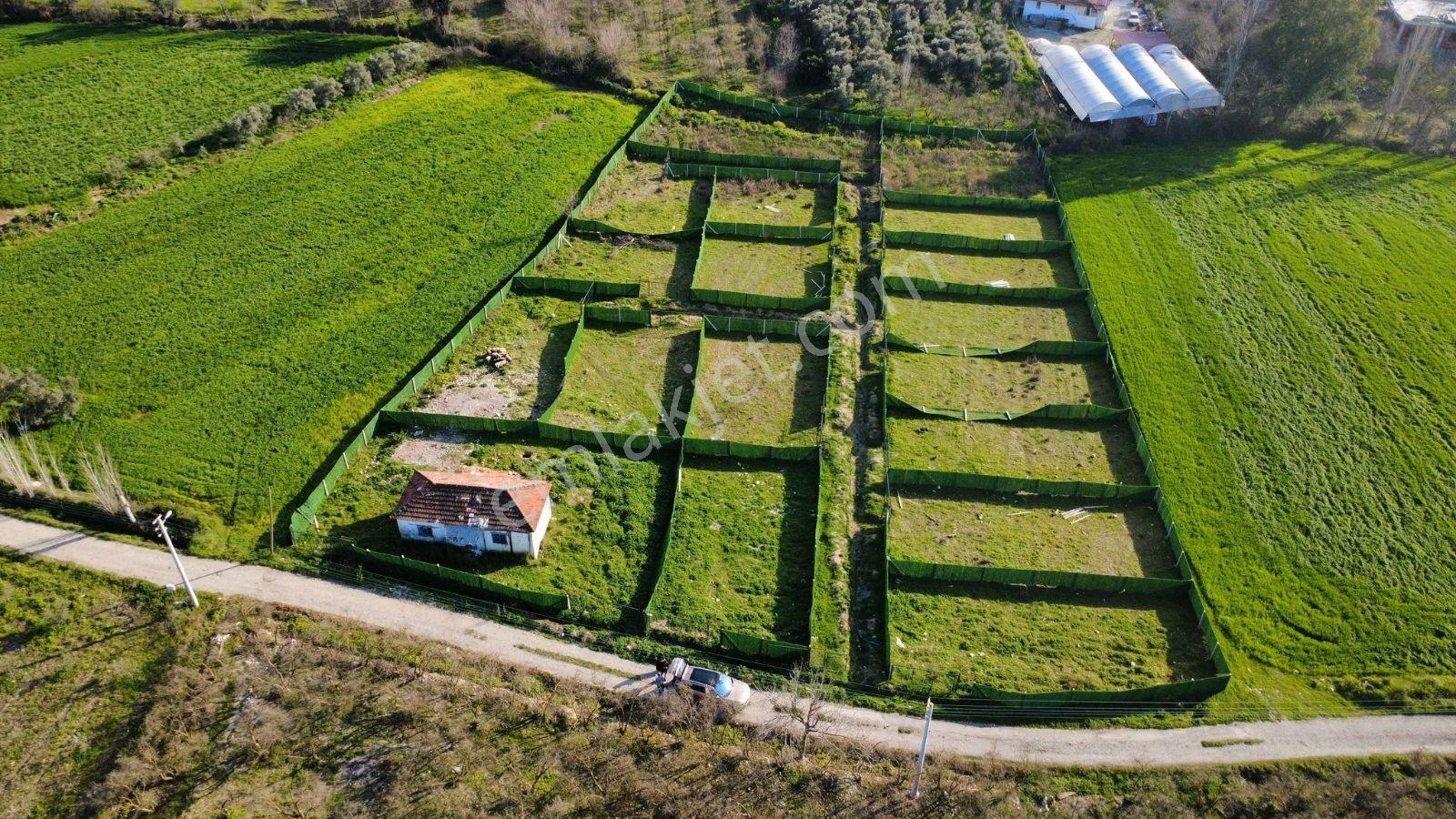 Muğla Seydikemer'De Satılık Tarla