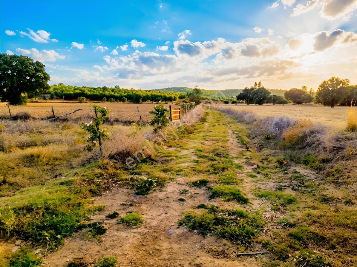 Uşak Banaz Gedikler Mahallesinde Satılık 1.000 M² Tarla!