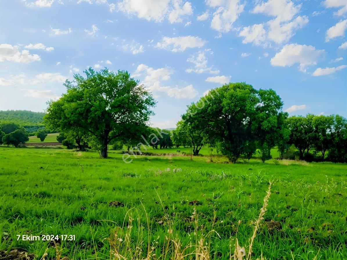 Uşak Banaz Gedikler Mahallesinde Satılık 1.000 M² Tarla! — fotoğraf 2