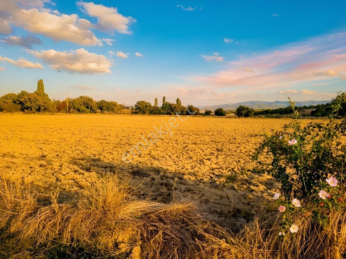 Uşak Banaz Gedikler Mahallesinde Satılık 1.000 M² Tarla! — fotoğraf 3
