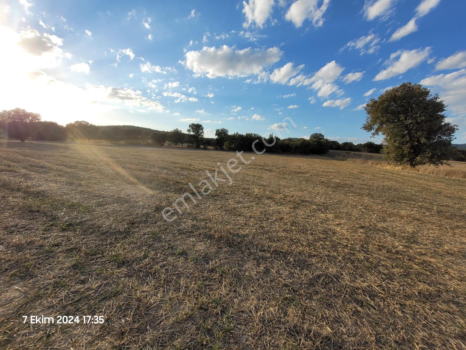 Uşak Banaz Gedikler Mahallesinde Satılık 1.000 M² Tarla! — fotoğraf 4