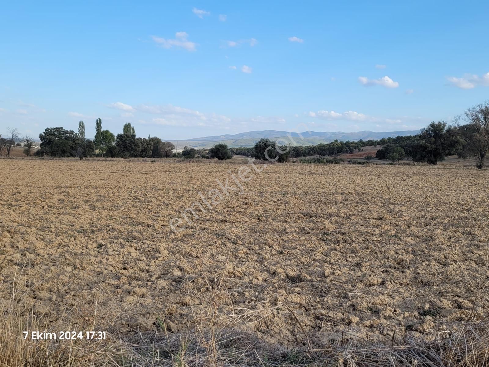 Uşak Banaz Gedikler Mahallesinde Satılık 1.000 M² Tarla! — fotoğraf 5