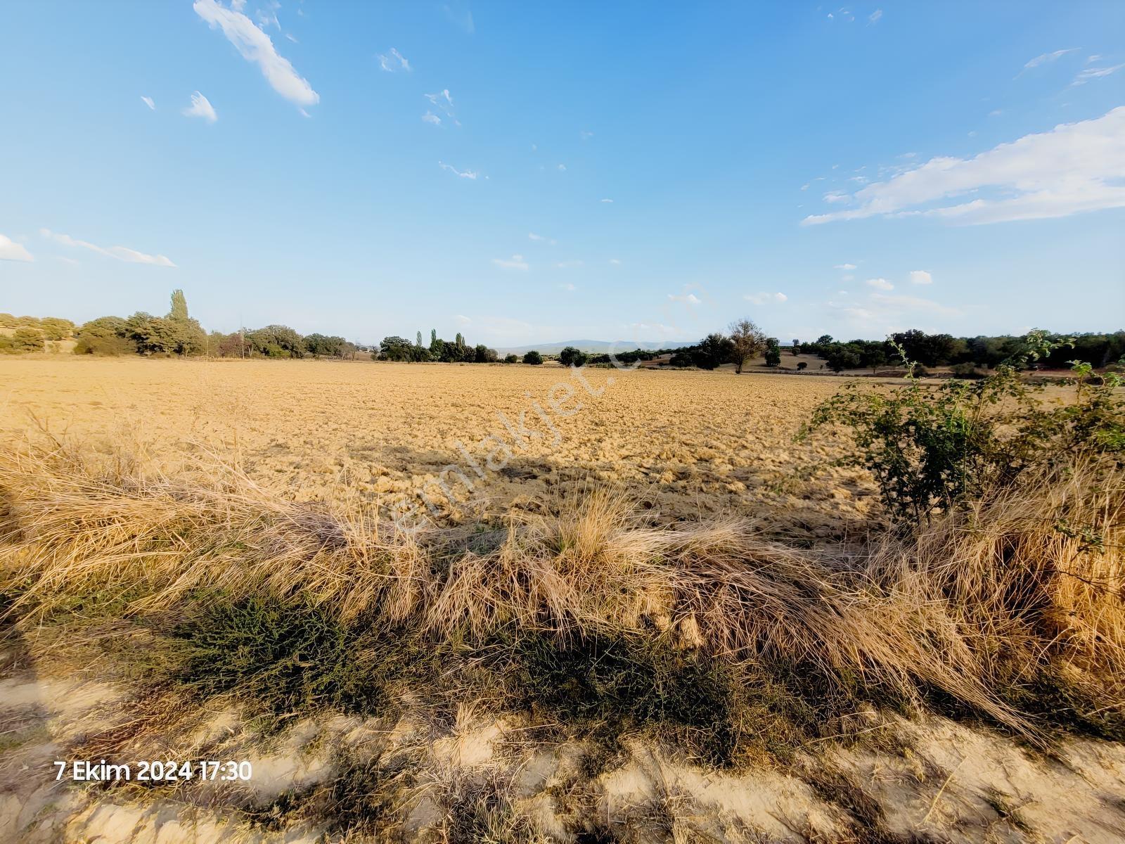 Uşak Banaz Gedikler Mahallesinde Satılık 1.000 M² Tarla! — fotoğraf 6