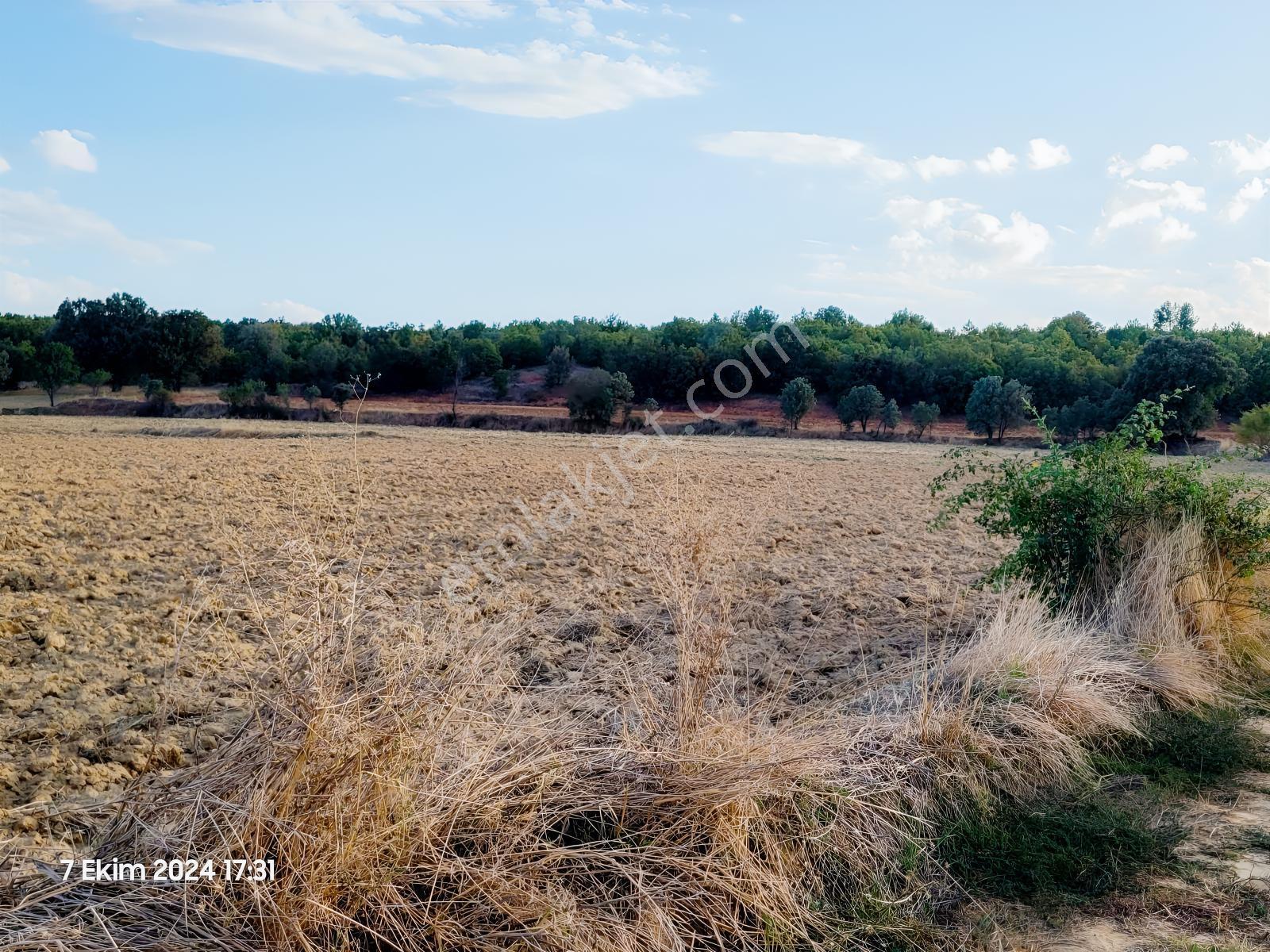 Uşak Banaz Gedikler Mahallesinde Satılık 1.000 M² Tarla! — fotoğraf 7
