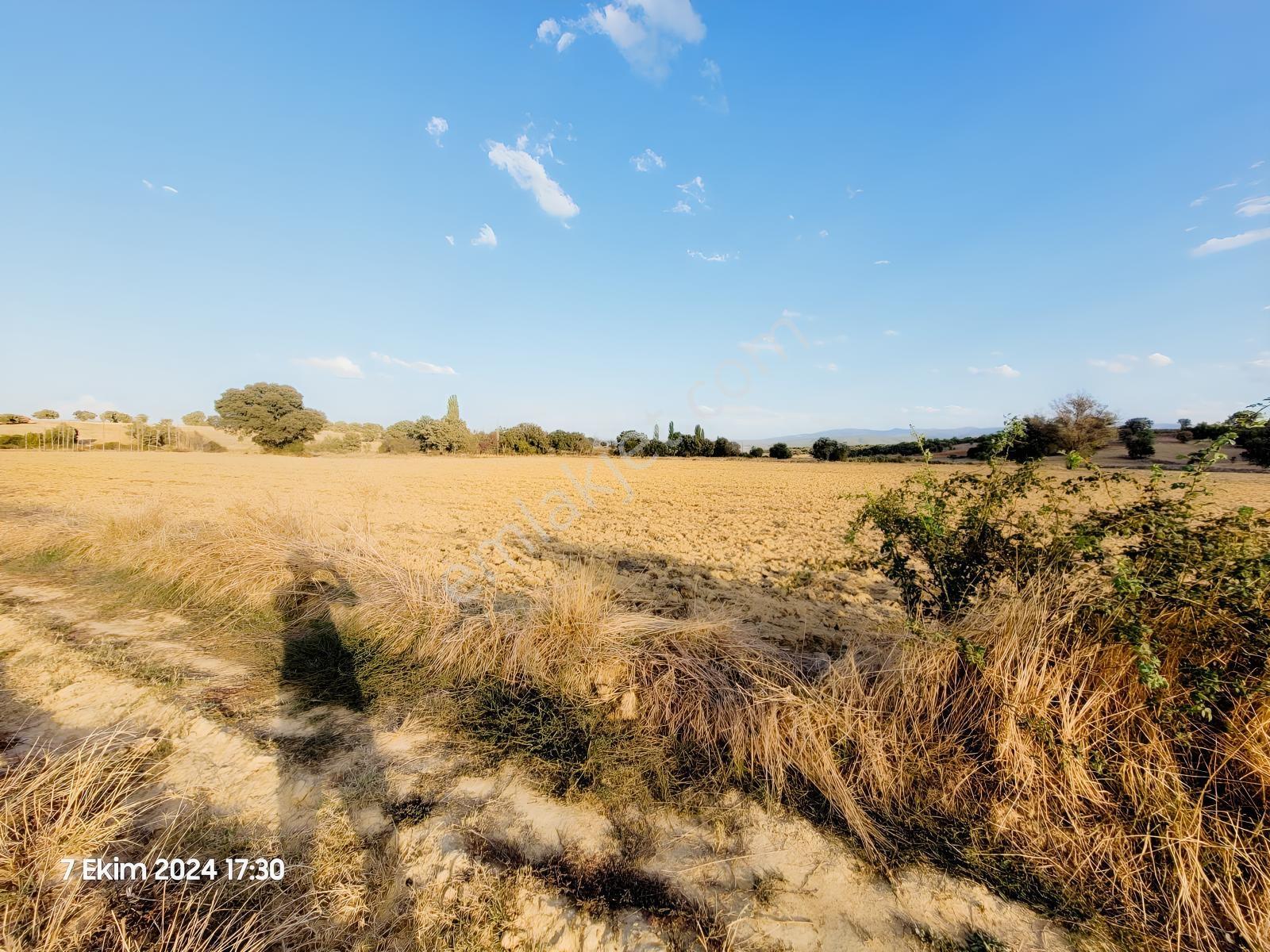Uşak Banaz Gedikler Mahallesinde Satılık 1.000 M² Tarla! — fotoğraf 8