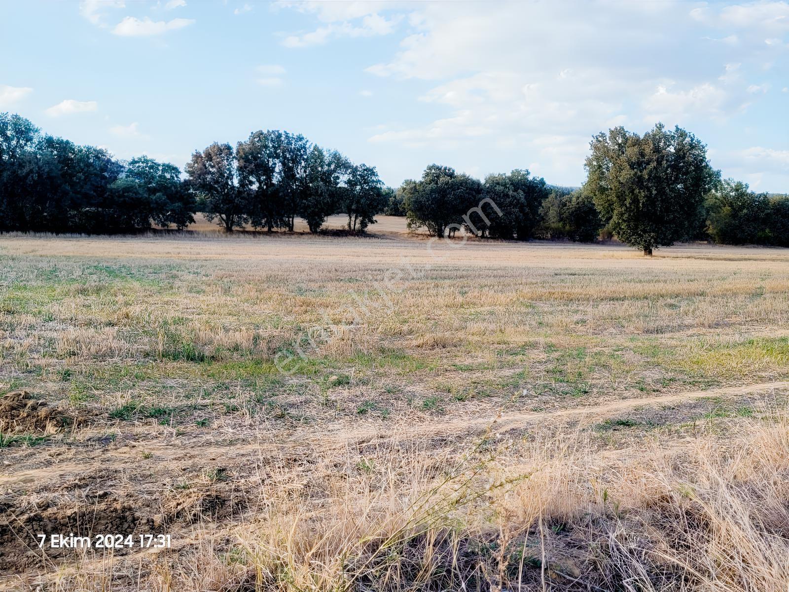 Uşak Banaz Gedikler Mahallesinde Satılık 1.000 M² Tarla! — fotoğraf 10