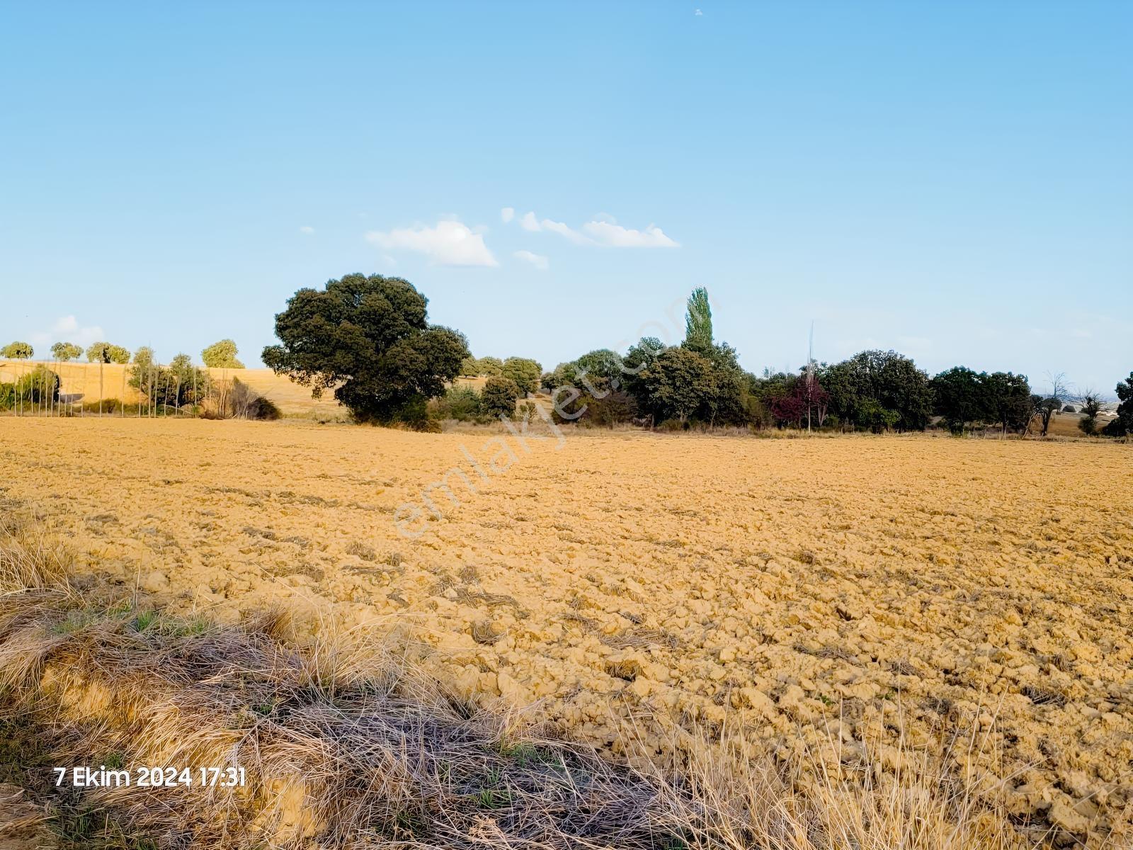 Uşak Banaz Gedikler Mahallesinde Satılık 1.000 M² Tarla! — fotoğraf 11