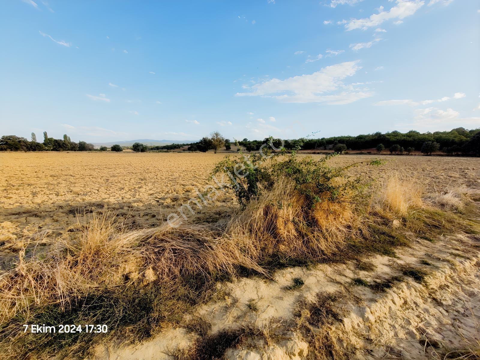 Uşak Banaz Gedikler Mahallesinde Satılık 1.000 M² Tarla! — fotoğraf 12