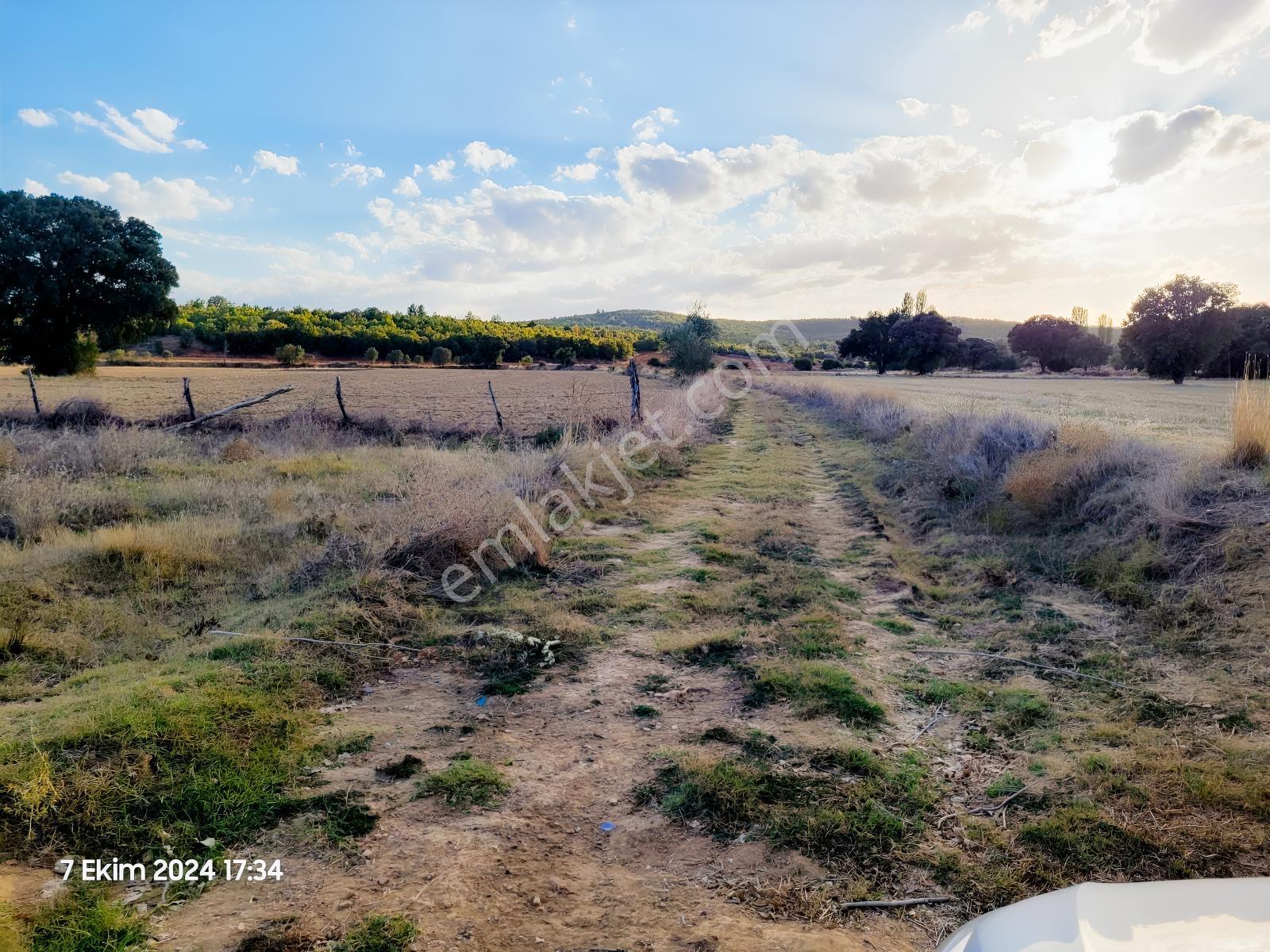 Uşak Banaz Gedikler Mahallesinde Satılık 1.000 M² Tarla! — fotoğraf 14