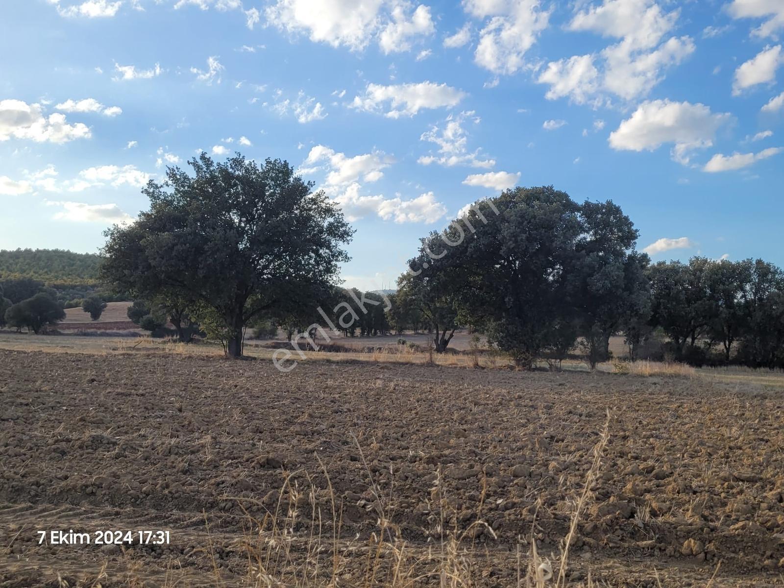 Uşak Banaz Gedikler Mahallesinde Satılık 1.000 M² Tarla! — fotoğraf 16
