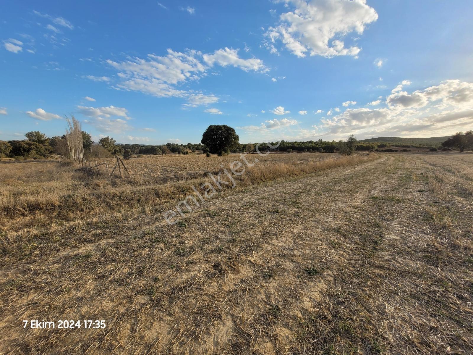 Uşak Banaz Gedikler Mahallesinde Satılık 1.000 M² Tarla! — fotoğraf 17