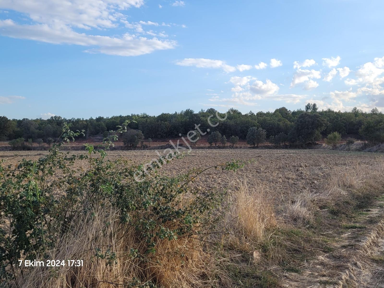 Uşak Banaz Gedikler Mahallesinde Satılık 1.000 M² Tarla! — fotoğraf 18