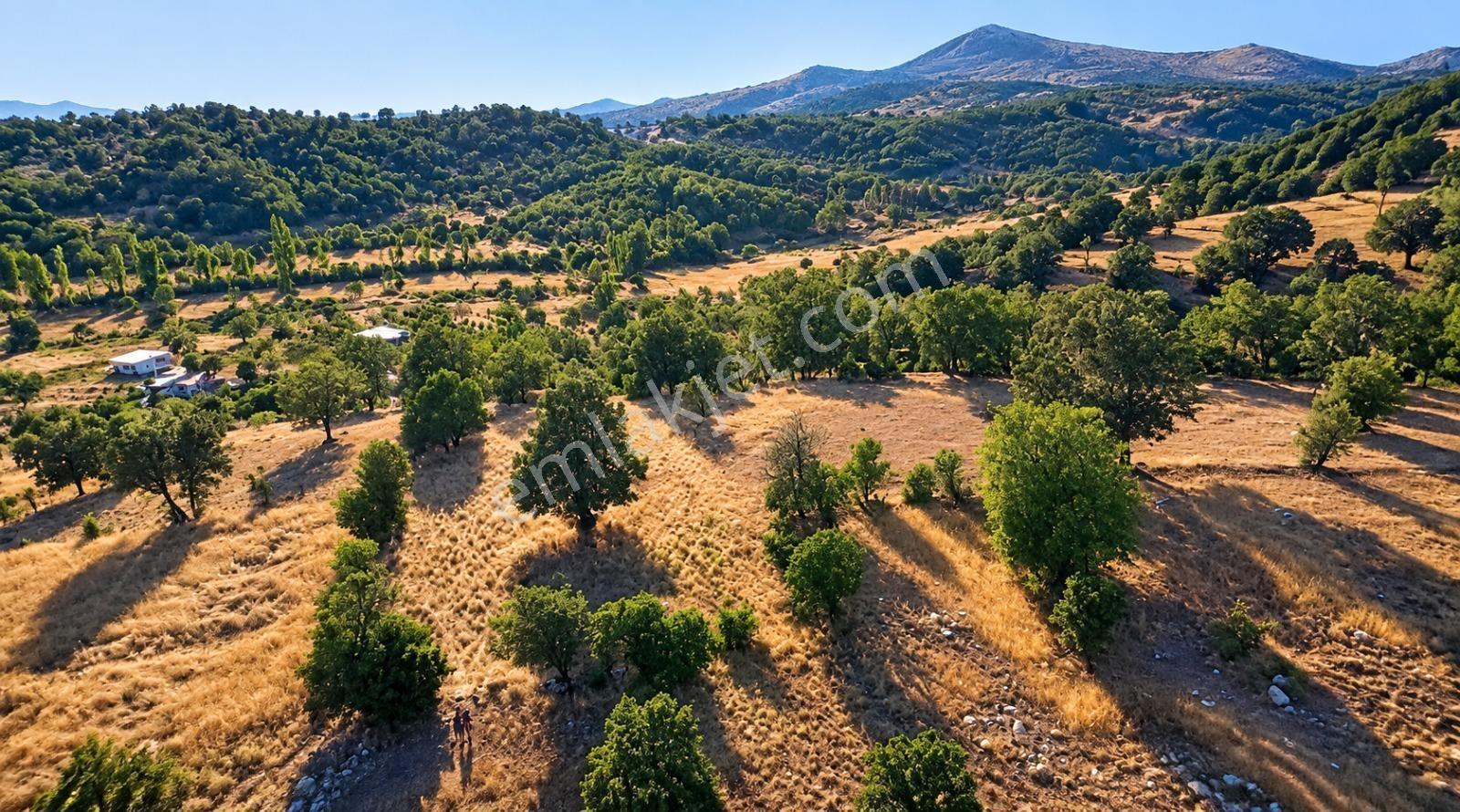 Muğla Seydikemer Çobanisa'Da 3.776 M² Tek Tapu Satılık Tarla