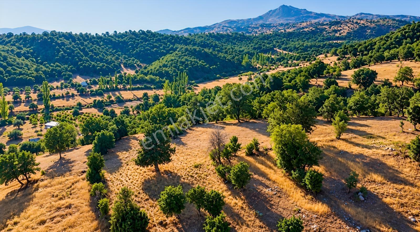 Muğla Seydikemer Çobanisa'Da 3.776 M² Tek Tapu Satılık Tarla — fotoğraf 4