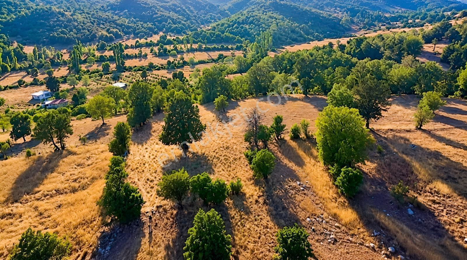 Muğla Seydikemer Çobanisa'Da 3.776 M² Tek Tapu Satılık Tarla — fotoğraf 5