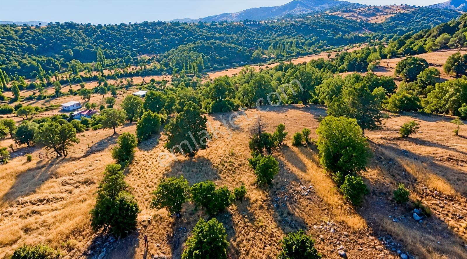 Muğla Seydikemer Çobanisa'Da 3.776 M² Tek Tapu Satılık Tarla — fotoğraf 6