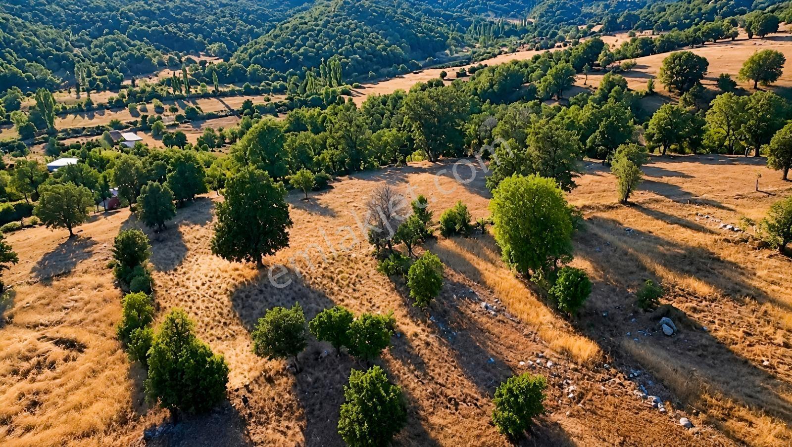 Muğla Seydikemer Çobanisa'Da 3.776 M² Tek Tapu Satılık Tarla — fotoğraf 7