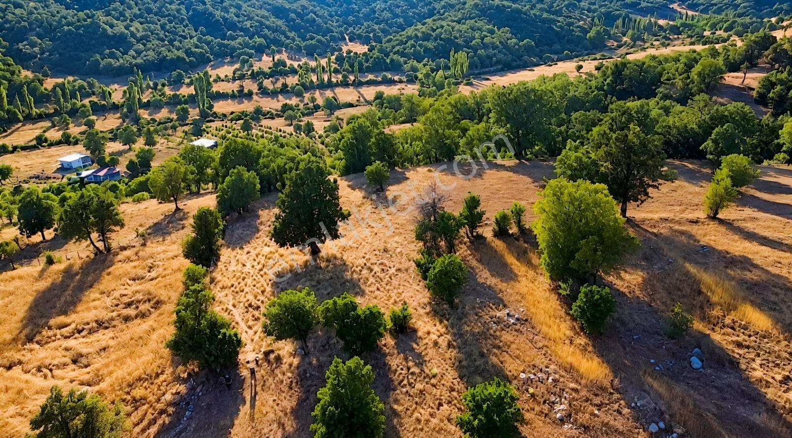 Muğla Seydikemer Çobanisa'Da 3.776 M² Tek Tapu Satılık Tarla — fotoğraf 8