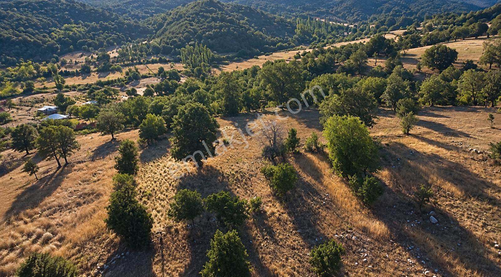Muğla Seydikemer Çobanisa'Da 3.776 M² Tek Tapu Satılık Tarla — fotoğraf 9