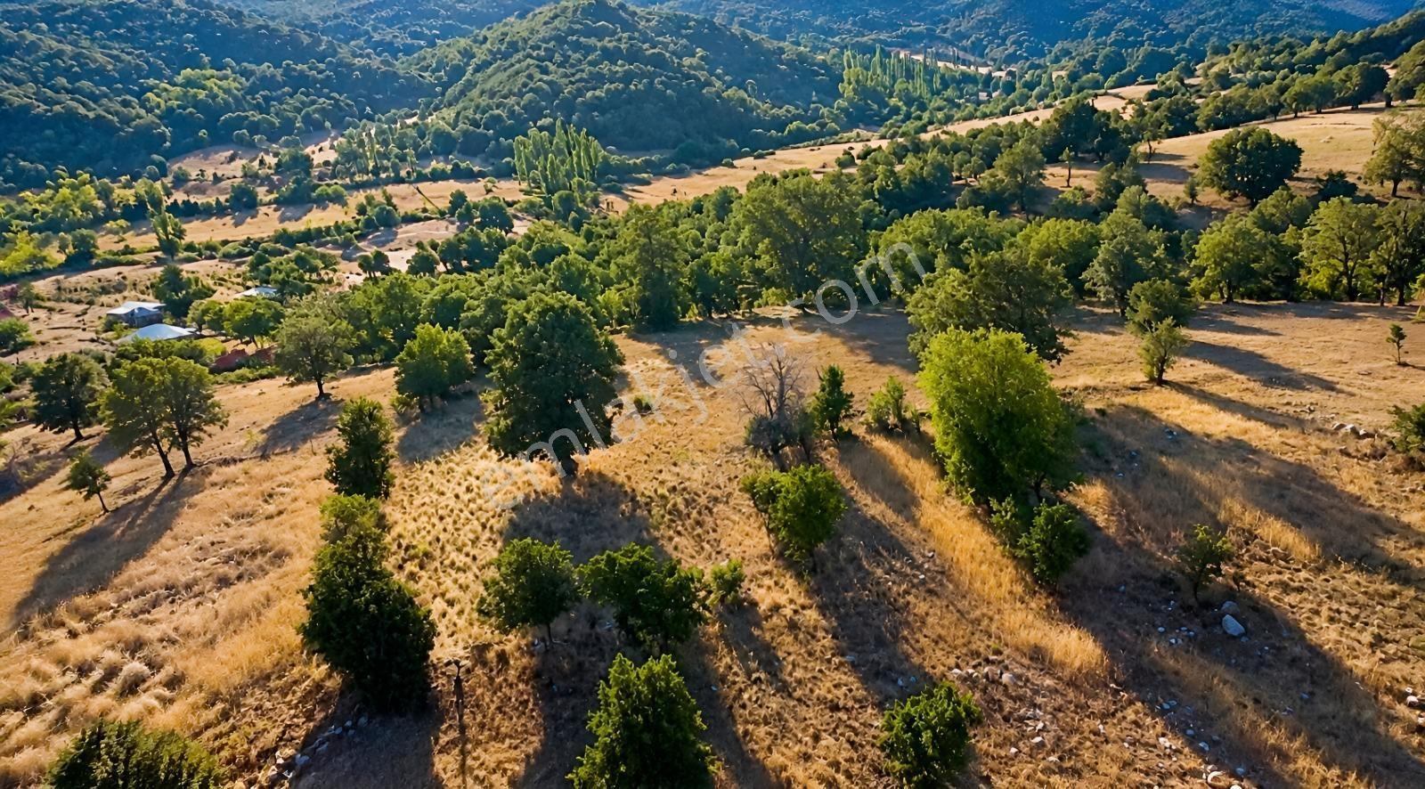 Muğla Seydikemer Çobanisa'Da 3.776 M² Tek Tapu Satılık Tarla — fotoğraf 10
