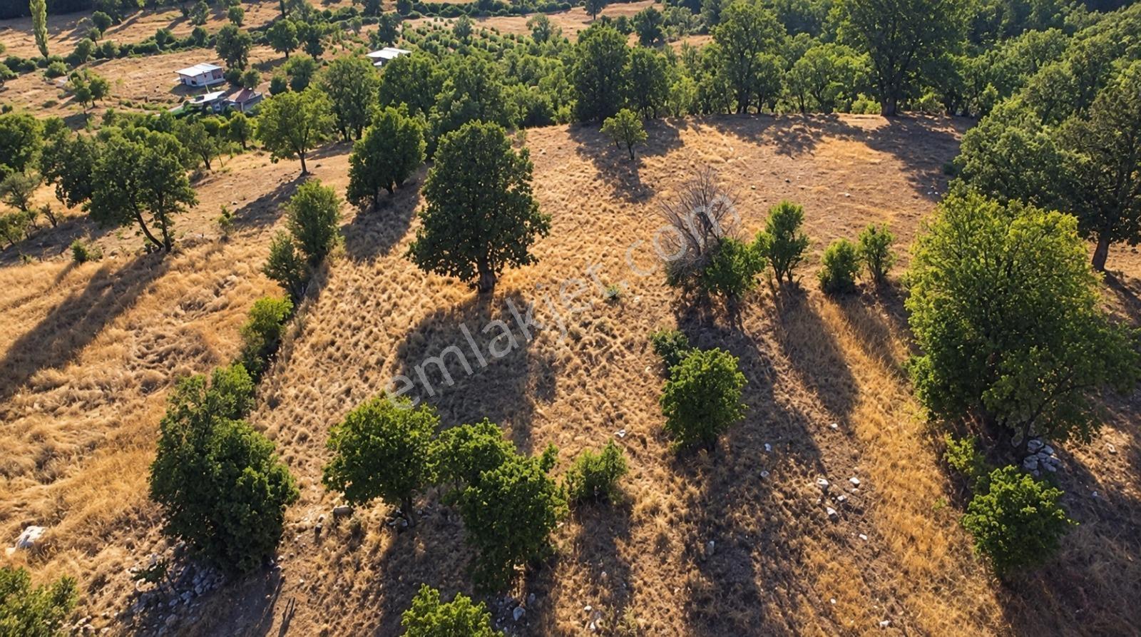 Muğla Seydikemer Çobanisa'Da 3.776 M² Tek Tapu Satılık Tarla — fotoğraf 11