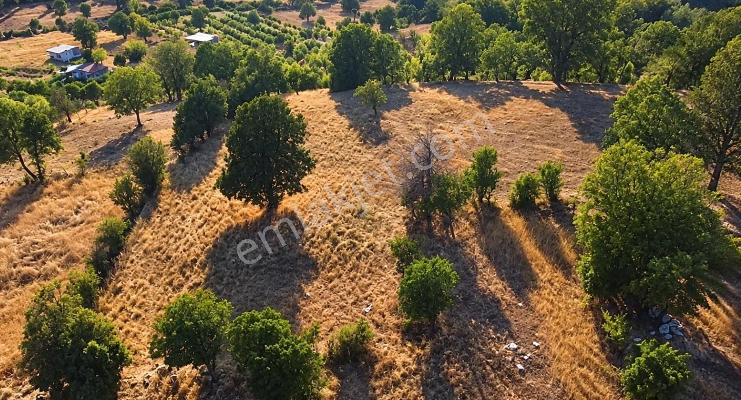 Muğla Seydikemer Çobanisa'Da 3.776 M² Tek Tapu Satılık Tarla — fotoğraf 12