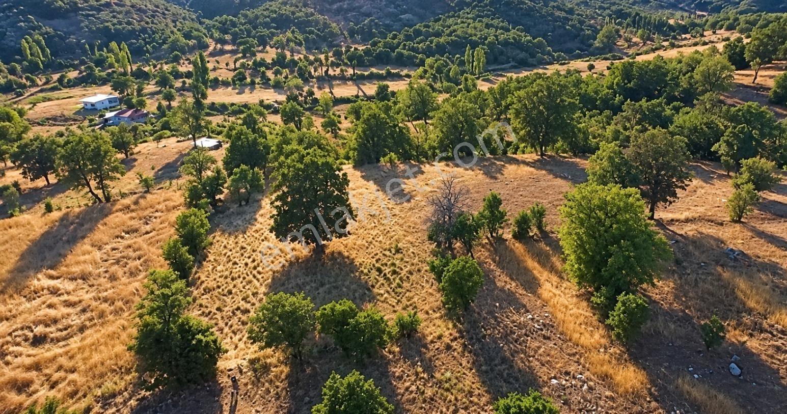 Muğla Seydikemer Çobanisa'Da 3.776 M² Tek Tapu Satılık Tarla — fotoğraf 13