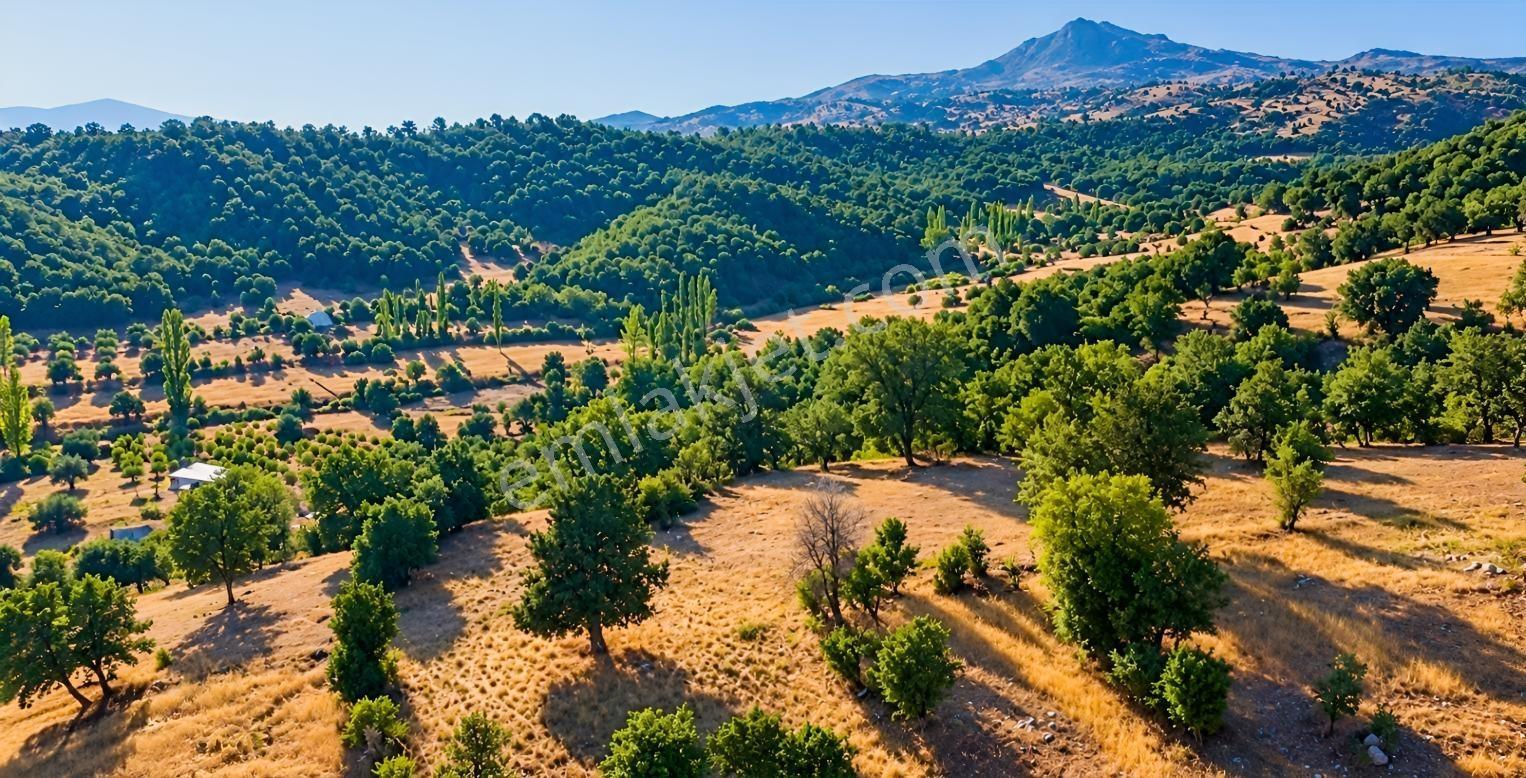 Muğla Seydikemer Çobanisa'Da 3.776 M² Tek Tapu Satılık Tarla — fotoğraf 14