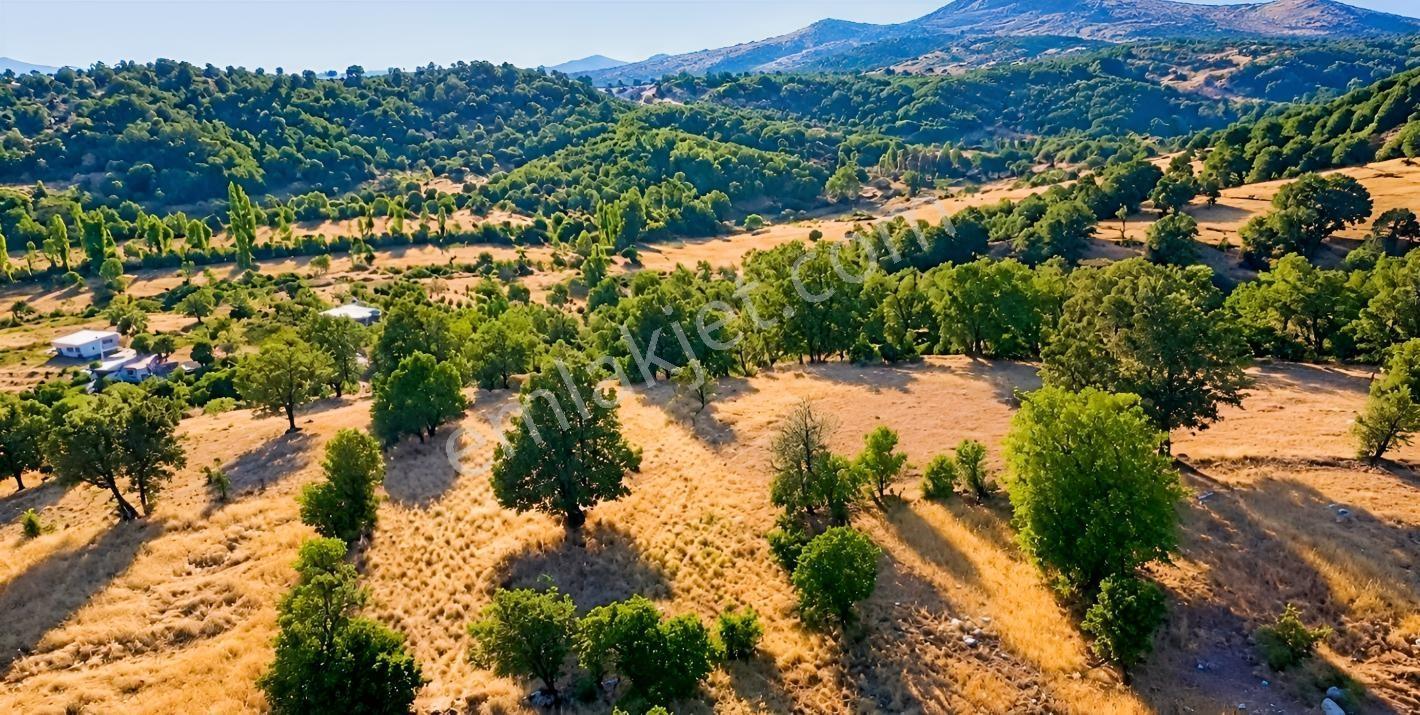 Muğla Seydikemer Çobanisa'Da 3.776 M² Tek Tapu Satılık Tarla — fotoğraf 15