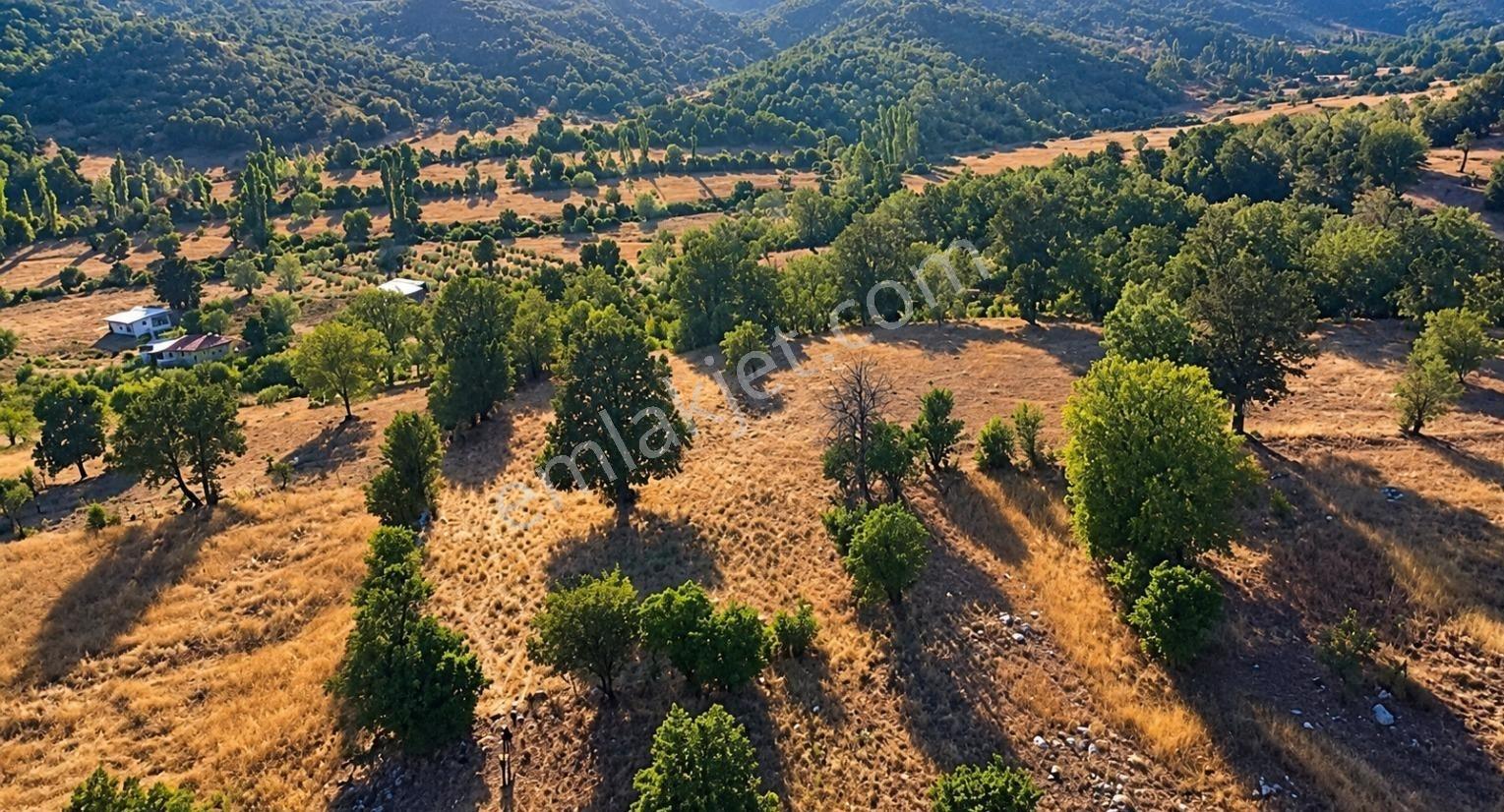 Muğla Seydikemer Çobanisa'Da 3.776 M² Tek Tapu Satılık Tarla — fotoğraf 16