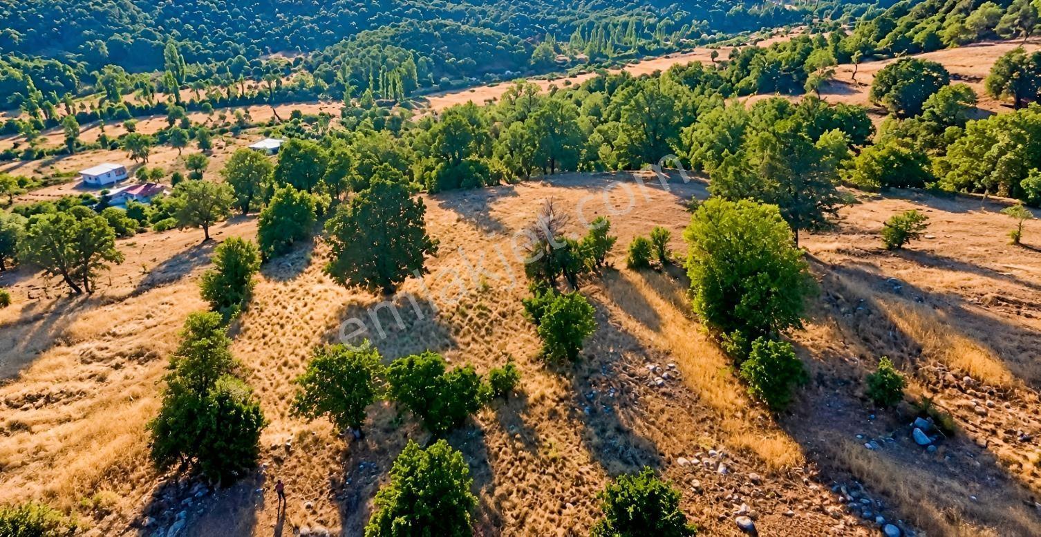 Muğla Seydikemer Çobanisa'Da 3.776 M² Tek Tapu Satılık Tarla — fotoğraf 17