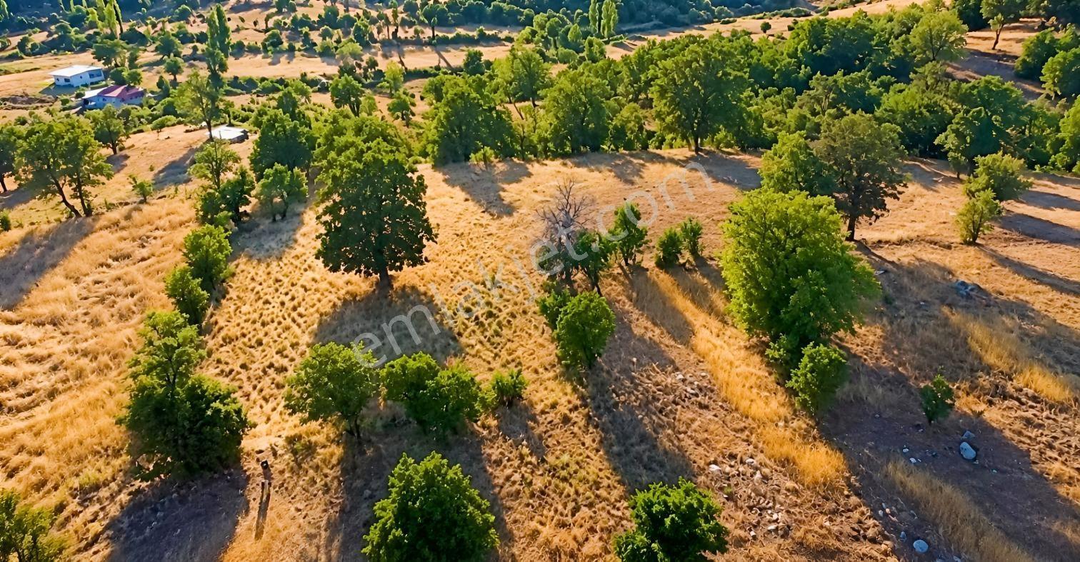 Muğla Seydikemer Çobanisa'Da 3.776 M² Tek Tapu Satılık Tarla — fotoğraf 18