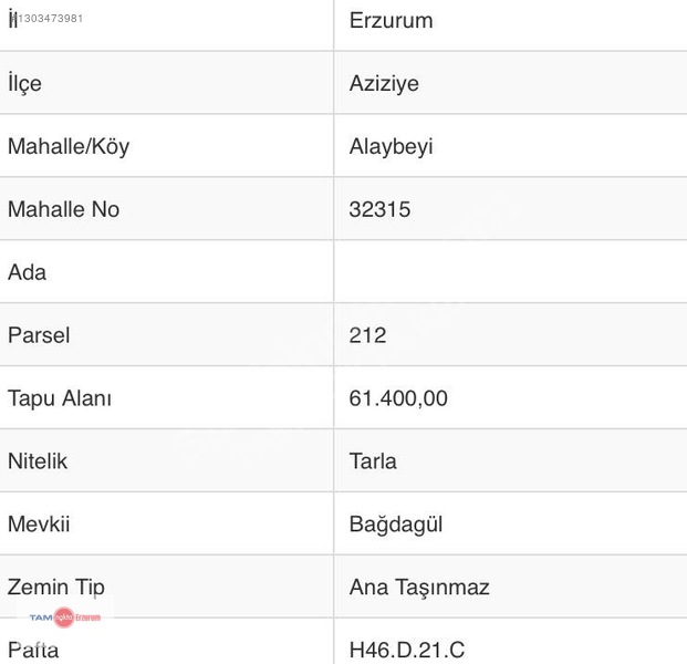 Tam Nokta Kent'ten Aziziye Alaybeyi'de Tek Tapulu Fırsat Tarla! — fotoğraf 4